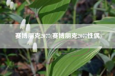 赛博朋克2077(赛博朋克2077性偶)