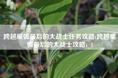 跨越星弧最后的大战士任务攻略(跨越星弧最后的大战士攻略)_1