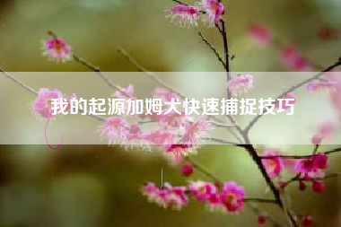 我的起源加姆犬快速捕捉技巧 我的起源加姆犬快速捕捉技巧
