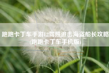 跑跑卡丁车手游L2驾照追击海盗船长攻略(跑跑卡丁车手机版)