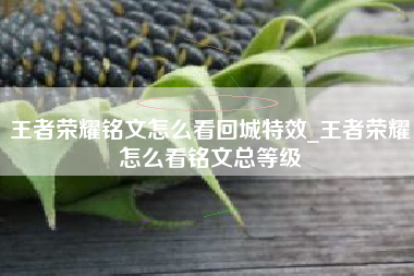 王者荣耀铭文怎么看回城特效_王者荣耀怎么看铭文总等级