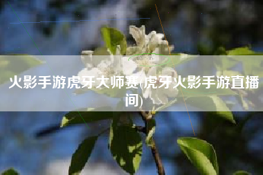 火影手游虎牙大师赛(虎牙火影手游直播间)