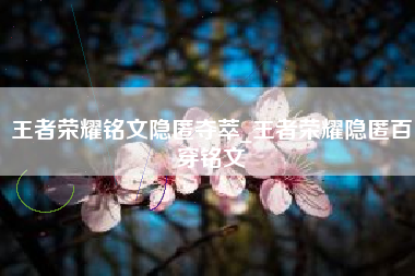 王者荣耀铭文隐匿夺萃_王者荣耀隐匿百穿铭文