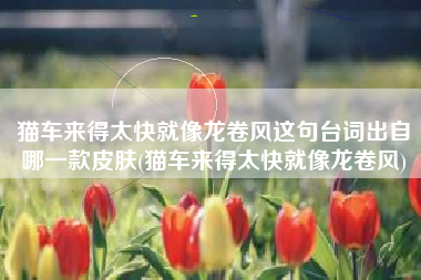 猫车来得太快就像龙卷风这句台词出自哪一款皮肤(猫车来得太快就像龙卷风)