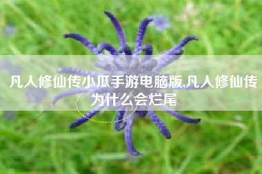 凡人修仙传小瓜手游电脑版,凡人修仙传为什么会烂尾