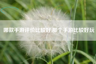 哪款手游评价比较好,那个手游比较好玩