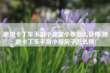 跑跑卡丁车手游小神童小乖怎么获得(跑跑卡丁车手游小屋房子怎么换)