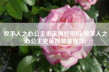 牧羊人之心公主史莱姆好用吗(牧羊人之心公主史莱姆装备推荐)