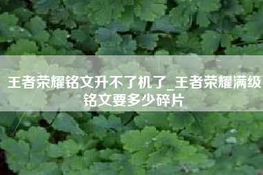 王者荣耀铭文升不了机了_王者荣耀满级铭文要多少碎片