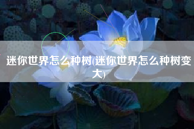 迷你世界怎么种树(迷你世界怎么种树变大)