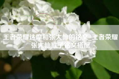 王者荣耀达摩和张大仙的铭文_王者荣耀张大仙猴子铭文搭配