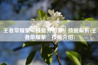 王者荣耀蒙犽技能介绍蒙犽技能解析(王者荣耀蒙犽技能介绍)