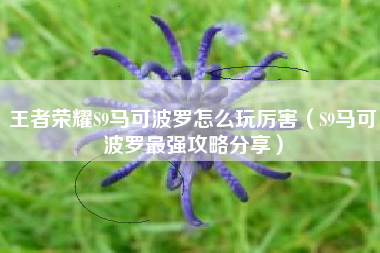 王者荣耀S9马可波罗怎么玩厉害（S9马可波罗最强攻略分享）