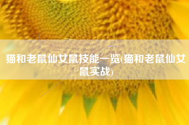 猫和老鼠仙女鼠技能一览(猫和老鼠仙女鼠实战)