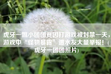 虎牙一姐小团团竟因打游戏被封禁一天，游戏中“怪物暴露”遭水友大量举报！(虎牙一团团照片)