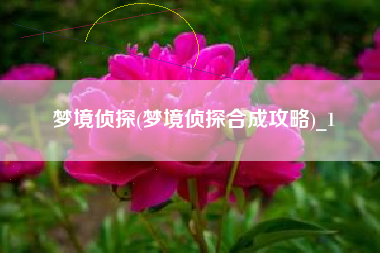 梦境侦探(梦境侦探合成攻略)_1