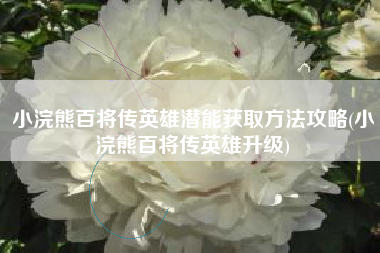 小浣熊百将传英雄潜能获取方法攻略(小浣熊百将传英雄升级)