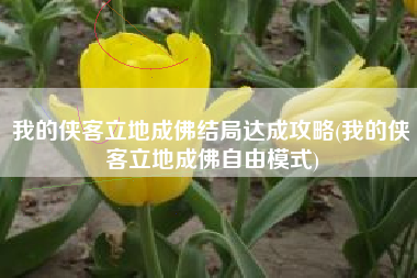 我的侠客立地成佛结局达成攻略(我的侠客立地成佛自由模式)