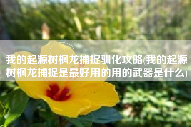 我的起源树枫龙捕捉驯化攻略(我的起源树枫龙捕捉是最好用的用的武器是什么)
