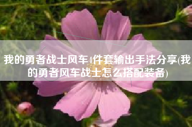 我的勇者战士风车4件套输出手法分享(我的勇者风车战士怎么搭配装备)