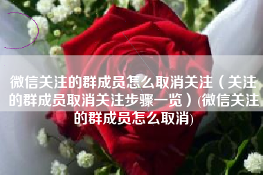 微信关注的群成员怎么取消关注（关注的群成员取消关注步骤一览）(微信关注的群成员怎么取消)