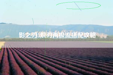 影之刃3炽刃两极流搭配攻略
