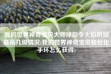 我的世界神奇宝贝大师球指令火焰附加最高几级情况(我的世界神奇宝贝极巨化手环怎么获得)