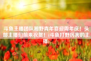 斗鱼主播团队湘野青年喜迎周年庆！头部主播们前来祝贺！(斗鱼打野厉害的主播)