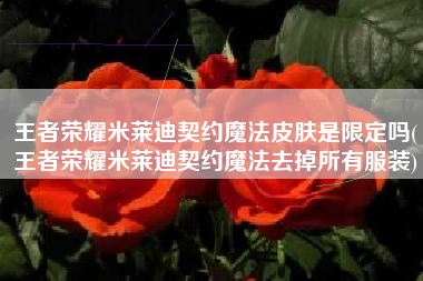 王者荣耀米莱迪契约魔法皮肤是限定吗(王者荣耀米莱迪契约魔法去掉所有服装)