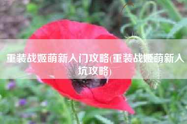 重装战姬萌新入门攻略(重装战姬萌新入坑攻略)