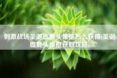 刺激战场圣诞麋鹿头像框怎么获得(圣诞麋鹿头像框获取攻略)