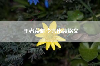 王者荣耀李言出装铭文
