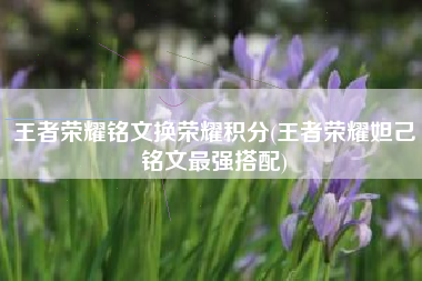 王者荣耀铭文换荣耀积分(王者荣耀妲己铭文最强搭配)