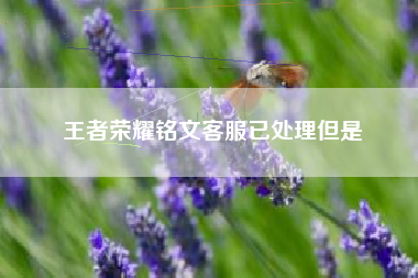 王者荣耀铭文客服已处理但是