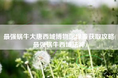 最强蜗牛大唐西域博物馆绿贵获取攻略(最强蜗牛西域法神)