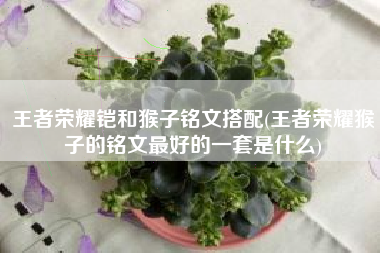 王者荣耀铠和猴子铭文搭配(王者荣耀猴子的铭文最好的一套是什么)