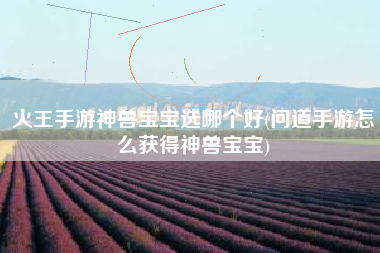 火王手游神兽宝宝选哪个好(问道手游怎么获得神兽宝宝)