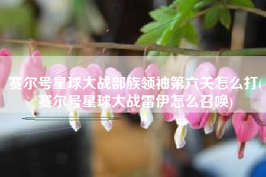 赛尔号星球大战部族领袖第六关怎么打(赛尔号星球大战雷伊怎么召唤)