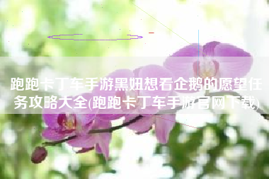 跑跑卡丁车手游黑妞想看企鹅的愿望任务攻略大全(跑跑卡丁车手游官网下载)