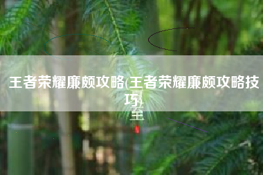 王者荣耀廉颇攻略(王者荣耀廉颇攻略技巧)