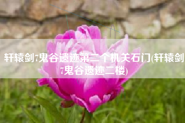 轩辕剑7鬼谷遗迹第二个机关石门(轩辕剑7鬼谷遗迹二楼)