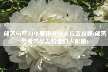 部落与弯刀小麦粉老妇人位置攻略(部落与弯刀小麦粉老妇人眼睛)