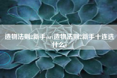造物法则2新手ssr(造物法则2新手十连选什么)