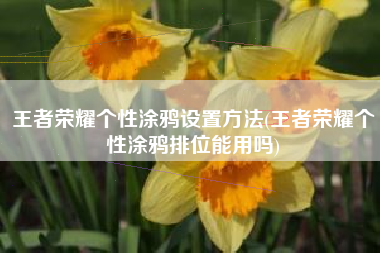 王者荣耀个性涂鸦设置方法(王者荣耀个性涂鸦排位能用吗)