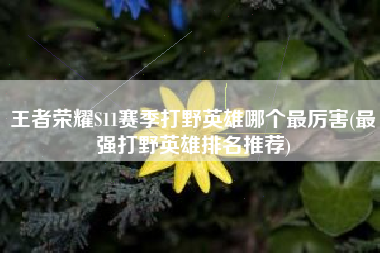 王者荣耀S11赛季打野英雄哪个最厉害(最强打野英雄排名推荐)