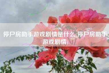 停尸房助手游戏剧情是什么(停尸房助手游戏剧情)