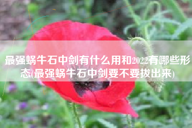 最强蜗牛石中剑有什么用和2022有哪些形态(最强蜗牛石中剑要不要拔出来)