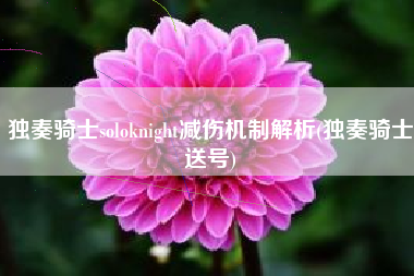 独奏骑士soloknight减伤机制解析(独奏骑士送号)