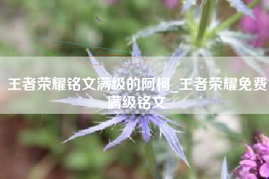 王者荣耀铭文满级的阿柯_王者荣耀免费满级铭文