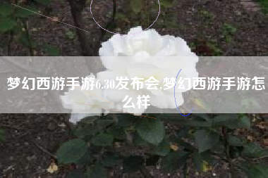 梦幻西游手游6.30发布会,梦幻西游手游怎么样